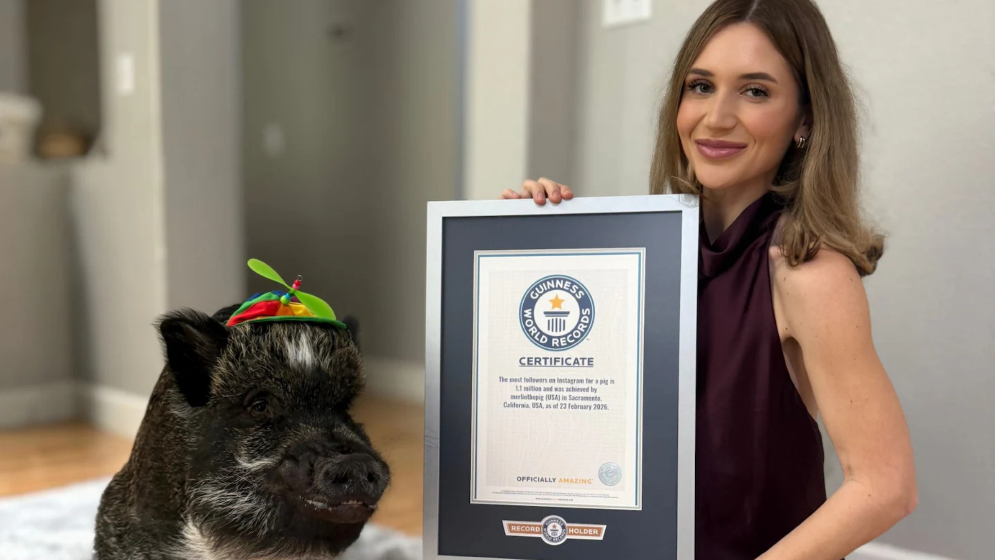 ქირიას NEWS შაბლონი (2)