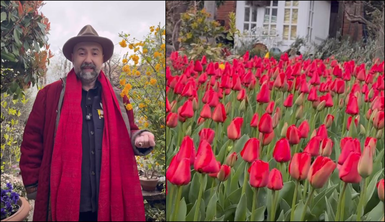 ოკუპირებული აფხაზეთი (2)