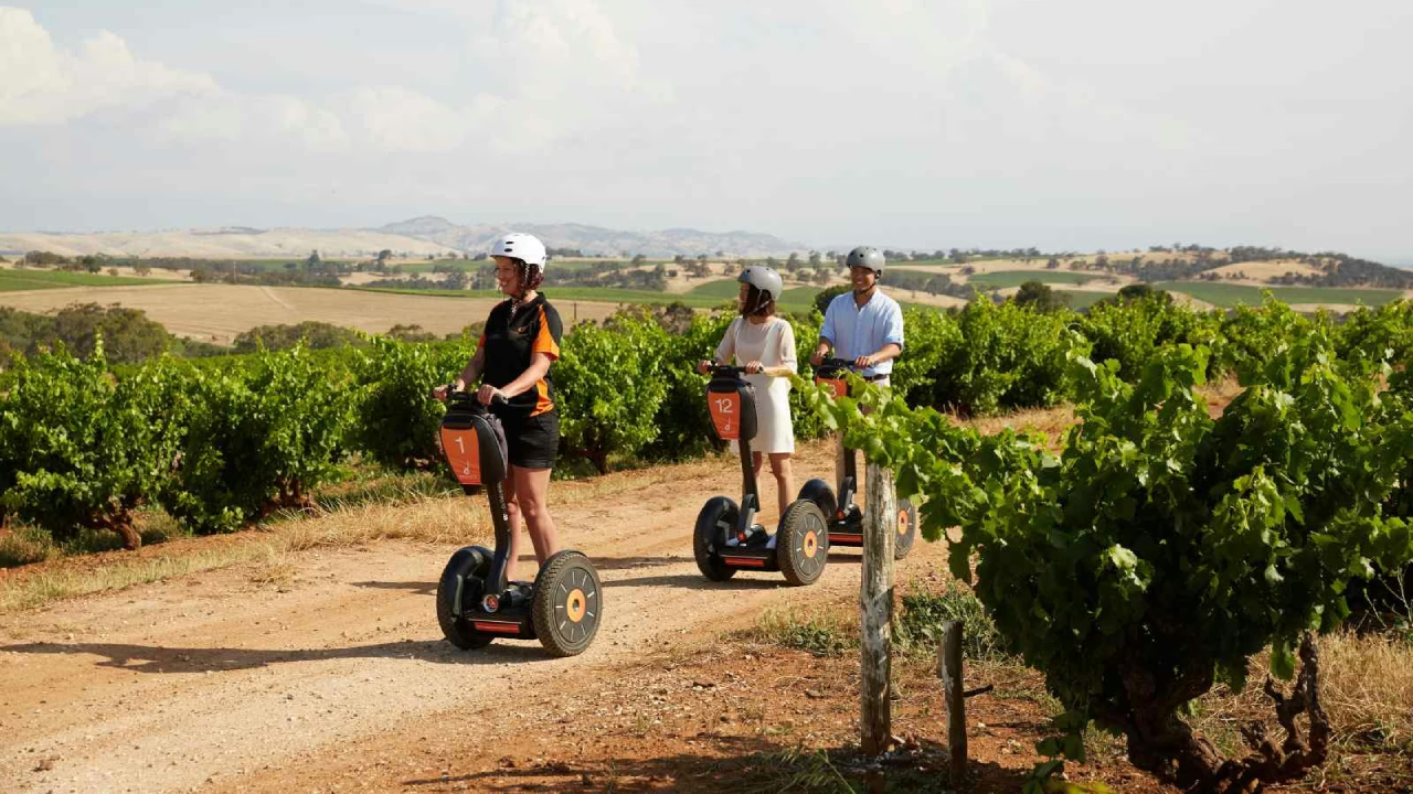 ღვინის ტურიზმი