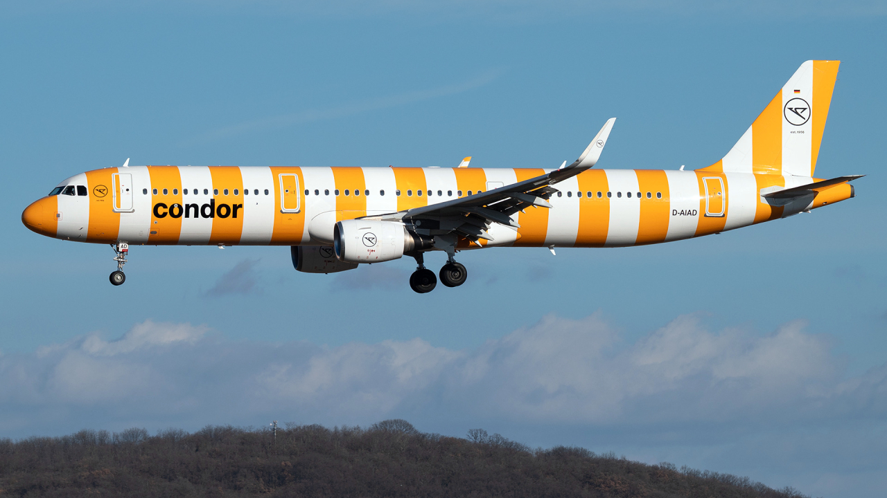 Condor