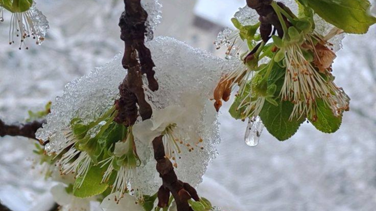 2026-04-27_02-12-58_211765