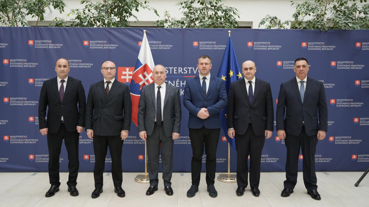სოლომონ პავლიაშვილი