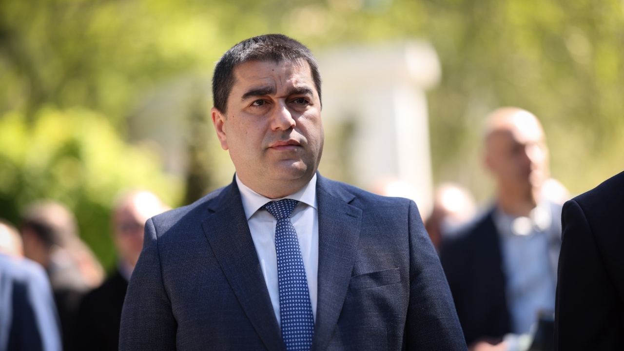 შალვა პაპუაშვილი
