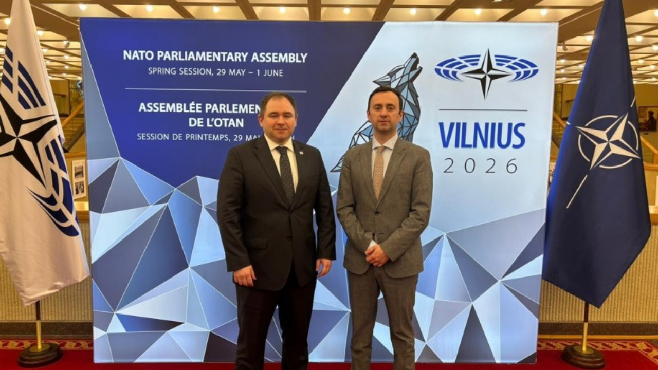 ნიკოლოზ სამხარაძე, ლევან მახაშვილი