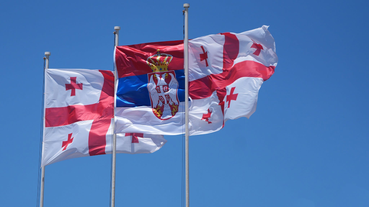 დახვედრა