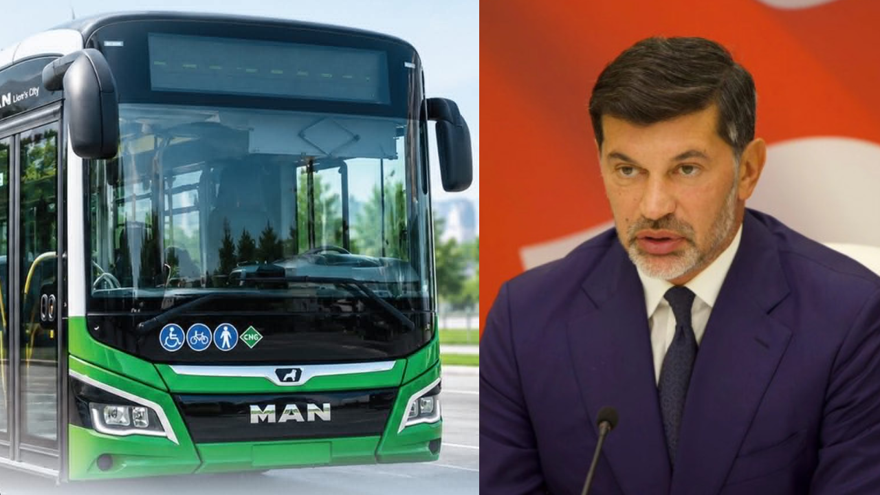 ავტობუსები