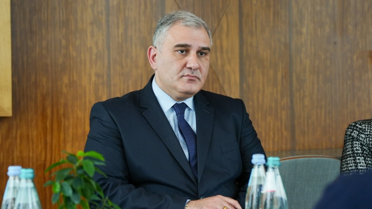 მიხეილ სარჯველაძე