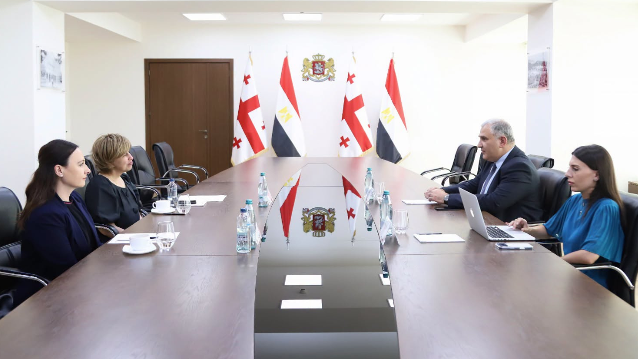 მიხეილ სარჯველაძე