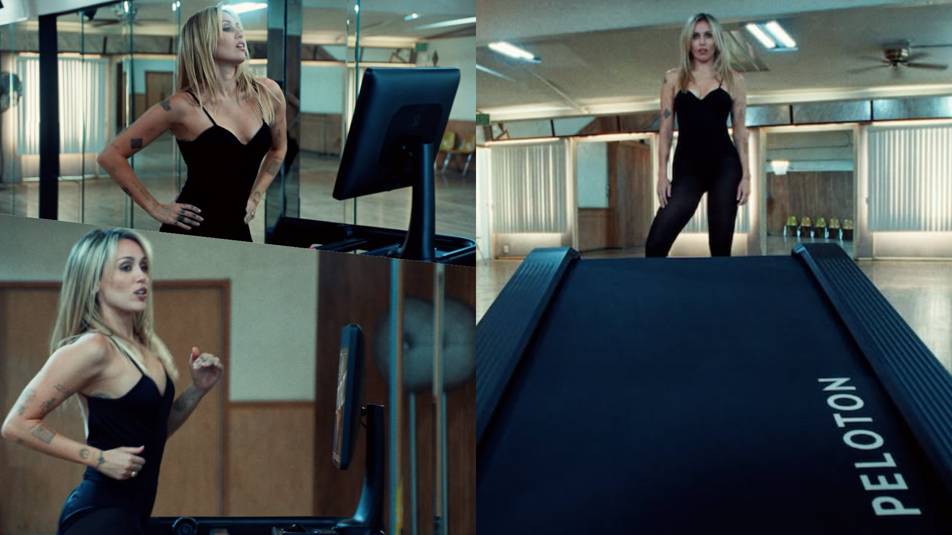 download (42)